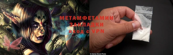 прущие грибы Верхний Тагил