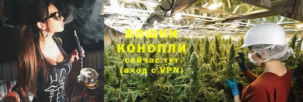 ECSTASY Тавда